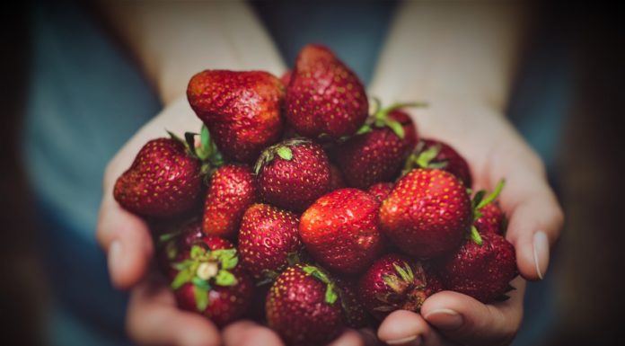 Nutritional And Scientific Facts About Strawberries